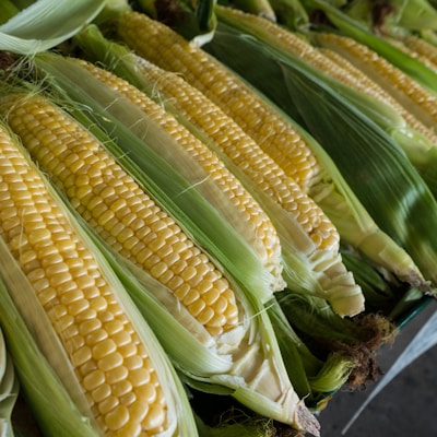 Sweet Corn